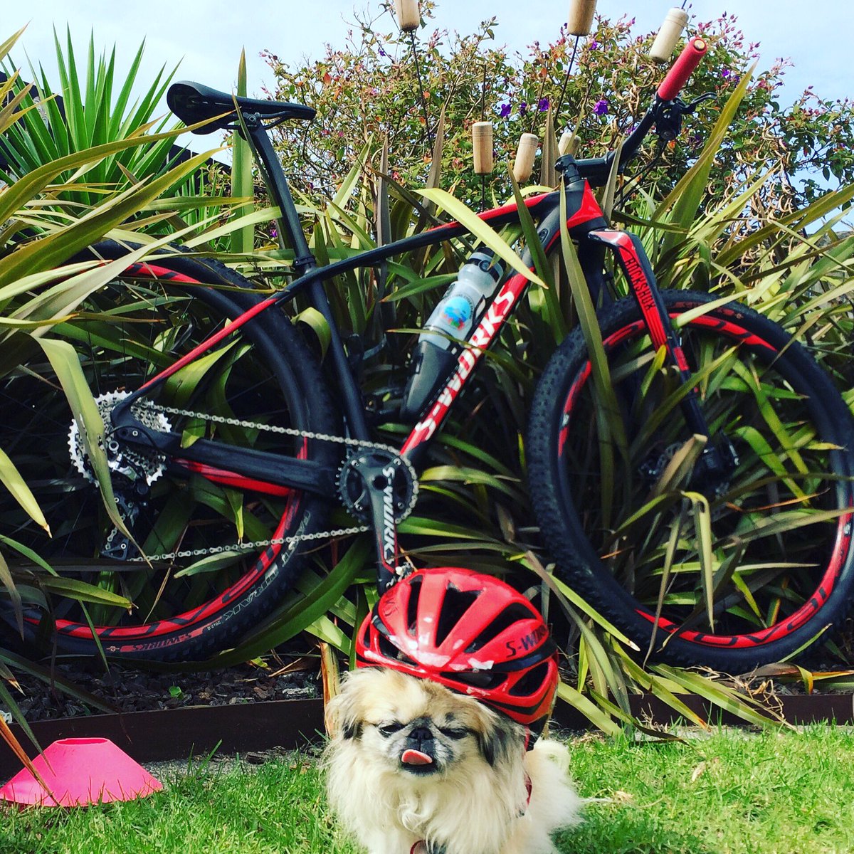 Hayden_Wilde tweet media