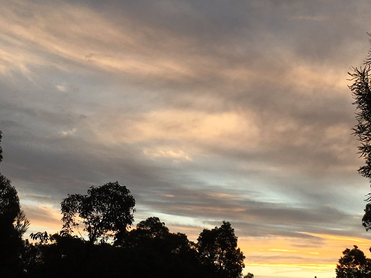 beata_mounsey's tweet photo. This evening @jr_the_ferret @BunburyWeather @MORECAST_Au @TheWAWG @CloudAppSoc @Weather_Beauty @ashleaeve @uSnapt https://t.co/kYK4ap3xgu