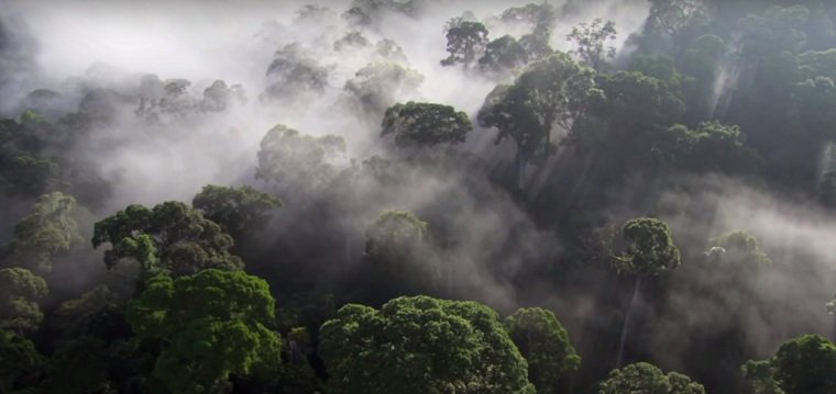 conexaoplaneta's tweet photo. Hoje é o #DiaDaTerra https://t.co/A0MLWbhwYK Nossa homenagem à Mãe Natureza, que tudo nos dá @CIBrasil https://t.co/YxB3aVpLzM