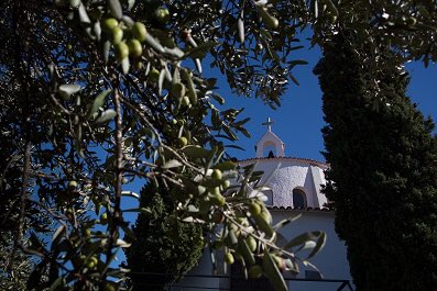 VisitaAvinyonet's tweet photo. El #MicroVi2016 s'endinsa avui en el món dels olis de qualitat a #Cantallops: https://t.co/QyDN0wlwOF https://t.co/znl05qa1j5