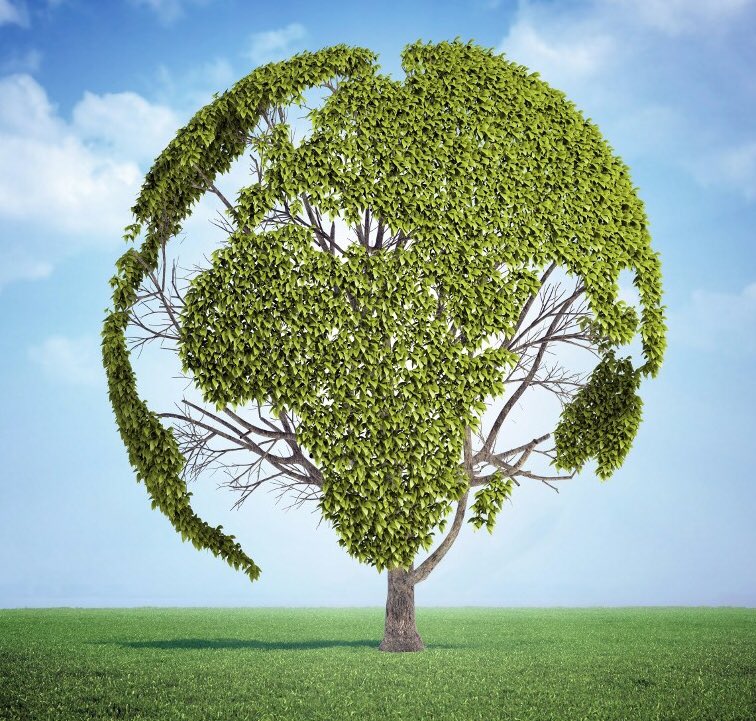 plin_18's tweet photo. #GiornataDellaTerra #EarthDay •La terra è un bel posto e per essa vale la pena di lottare.•
(Ernest Hemingway) https://t.co/vWU864dDWh