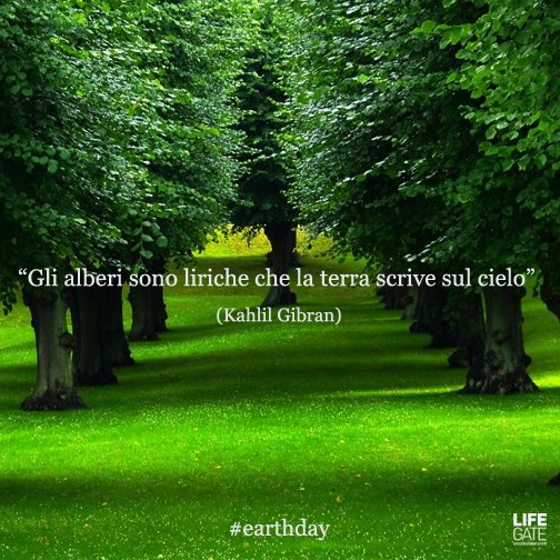maolindas's tweet photo. Gli alberi patrimonio naturale da conservare!
#GiornataMondialeDellaTerra 
#EarthDay2016 https://t.co/I0gTXHGIpW