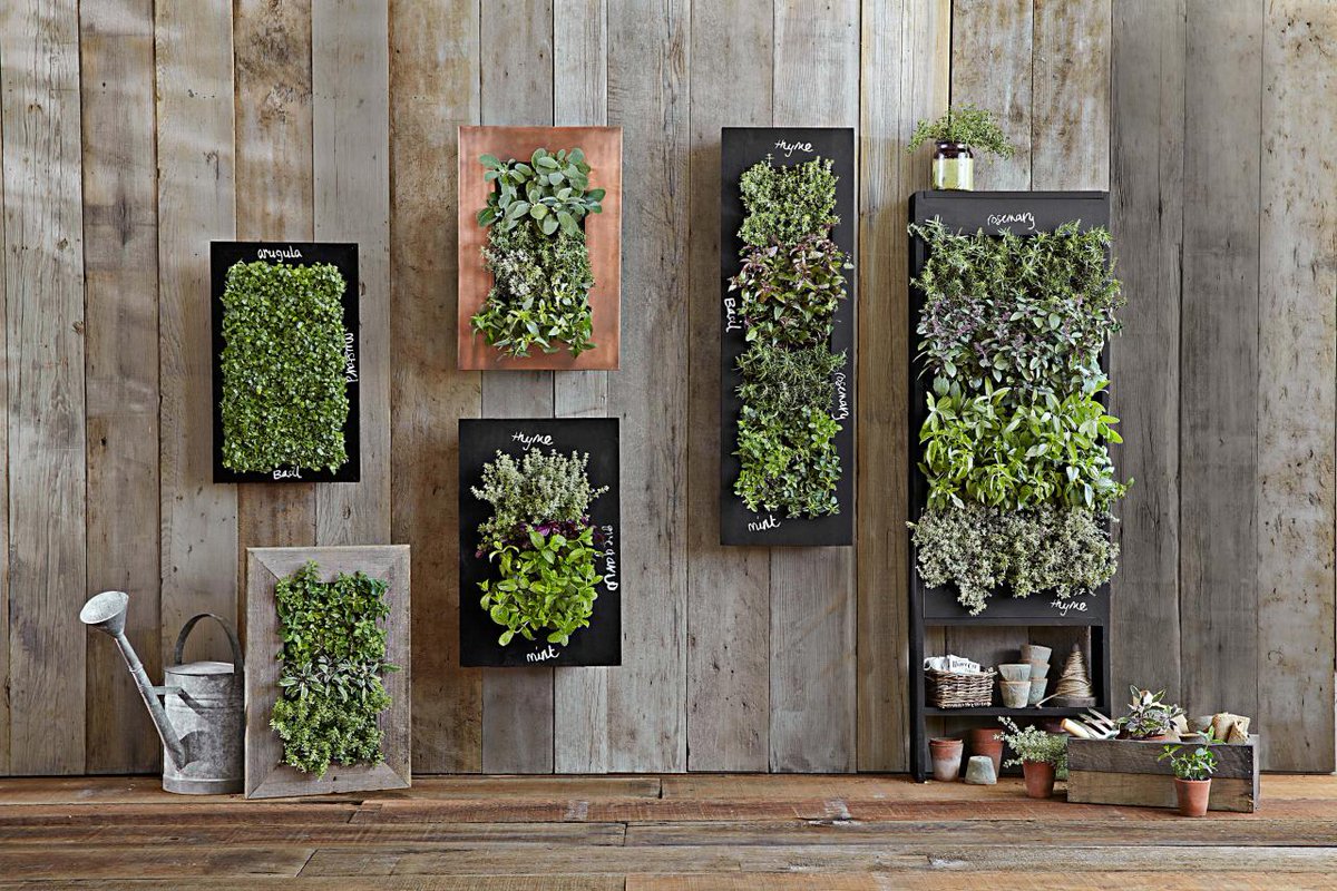 Frank_Lippi's tweet photo. Great tips for Vertical Garden Design @hgtv https://t.co/kOYv1fChgT 
#weekend #plans #backyard #patio https://t.co/eqJyvd1V8i