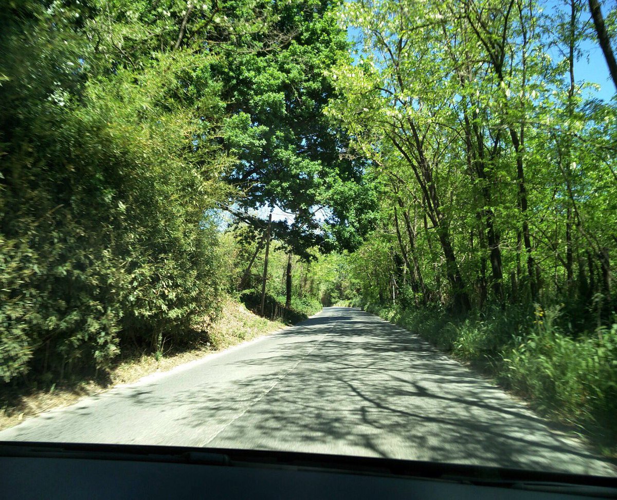 Whale_Lab's tweet photo. Whales on the road in this #earthday ! And the world is so beautiful that it doesn't need filters! https://t.co/8BFiL9TTqz