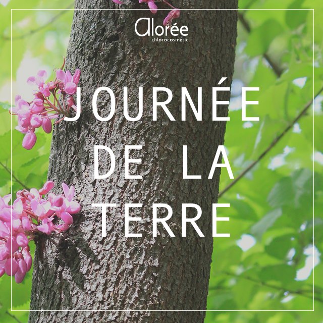 #EarthDay Protéger la #Terre pour les générations futures. La #JourneeDeLaTerre 2016 met les #arbres à l'honneur.