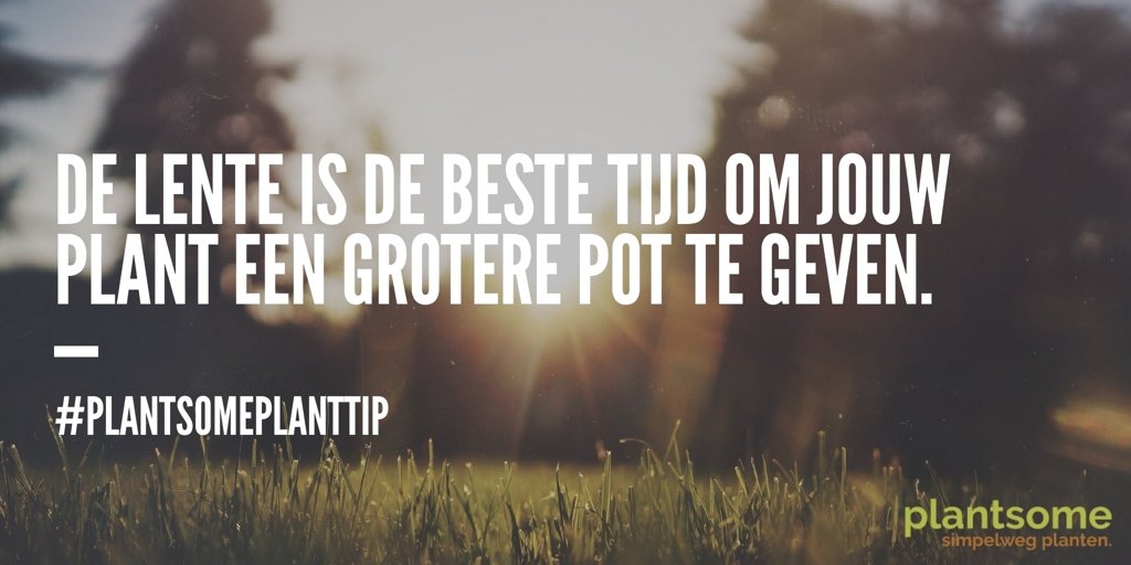 Een nieuwe #PlantsomePlantTip! Dus hop, aan het werk! #lente #planten #genieten