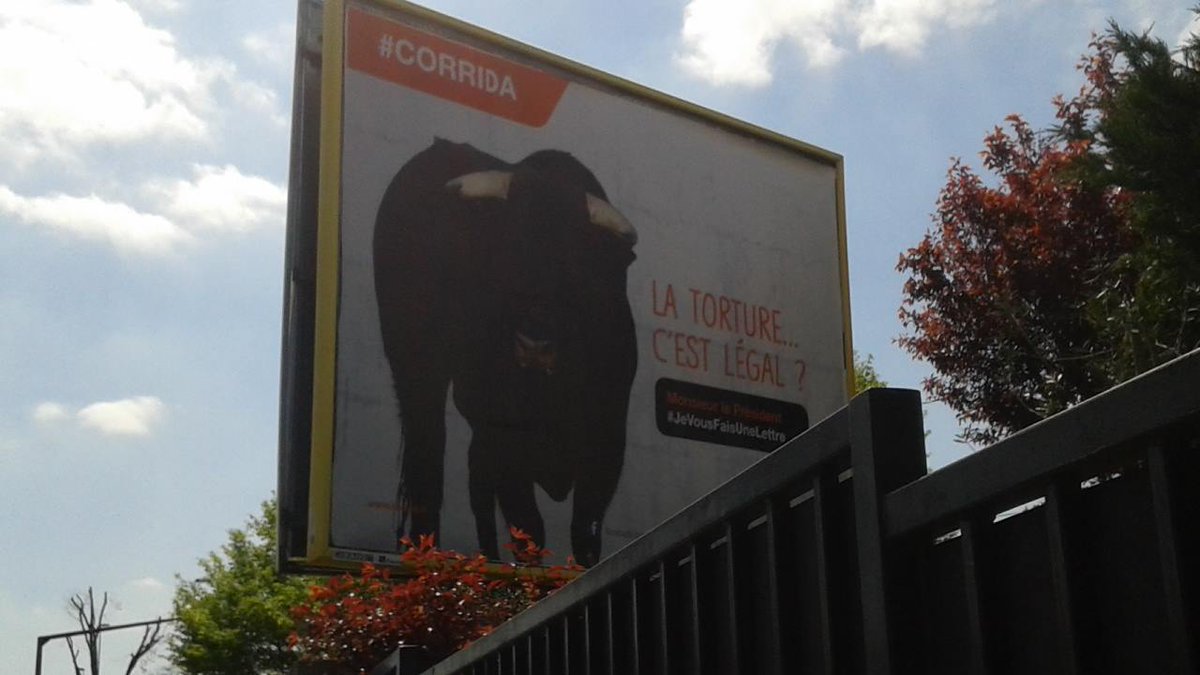 L214's tweet photo. La campagne de la @SPA_Officiel s'affiche en France! Participez en tweetant aux politiques: https://t.co/3b226tgNwE https://t.co/urmwPmV4mp