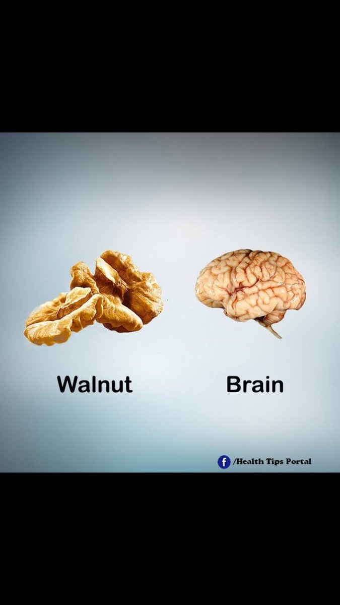 Sukhbaatar (@sukhbaatar999) on Twitter photo 