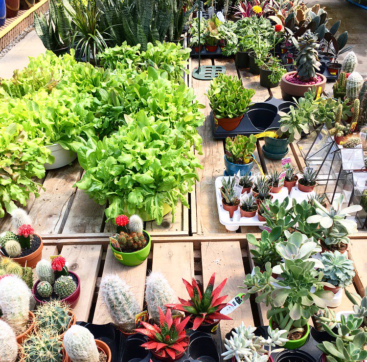 Jeff Kitchen tweet media