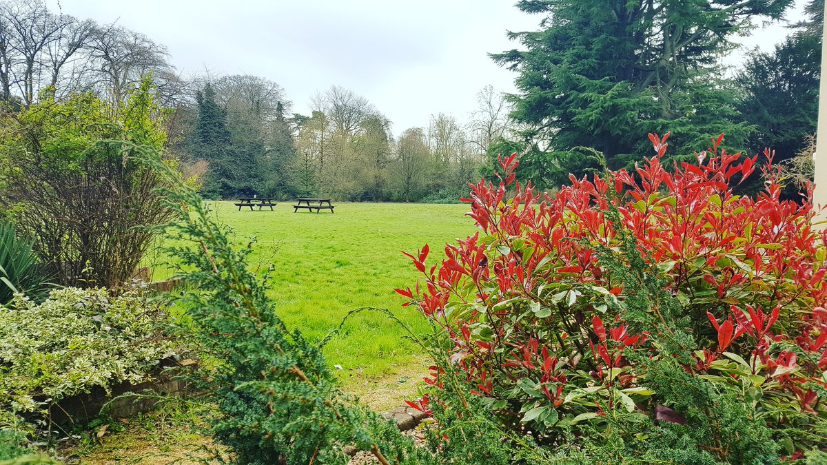 WoodrowHH's tweet photo. Beautiful picture on @ClaytonsPTA last day at Woodrow! Hope you enjoyed your stay! https://t.co/h3mpWCiuV8