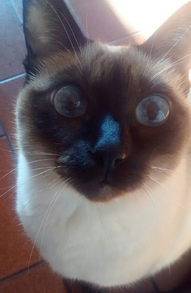 VeRa💚 tweet media