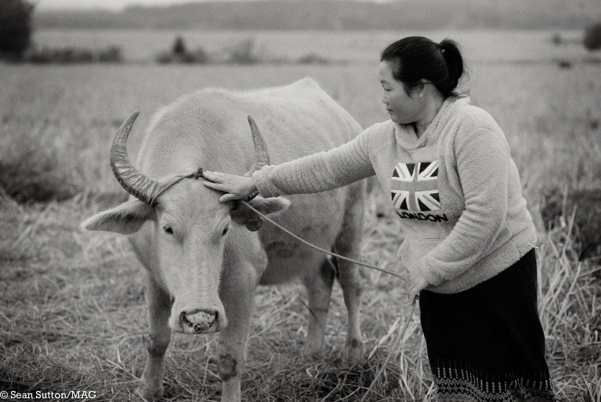 MAGsaveslives's tweet photo. MAG clears land to enable crops &amp; livestock to flourish so people can rebuild their livelihoods in safety #EarthDay https://t.co/BY9Apo5YGN