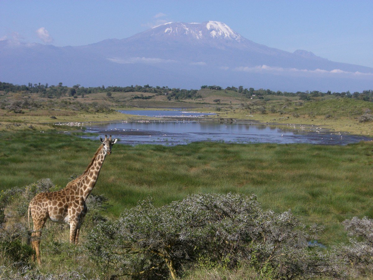 ElHuffPost's tweet photo. 10 maravillas de la naturaleza que viven bajo amenaza
https://t.co/C8Ffq2th3n 
#DiaDeLaTierra https://t.co/VjBnv78w8d
