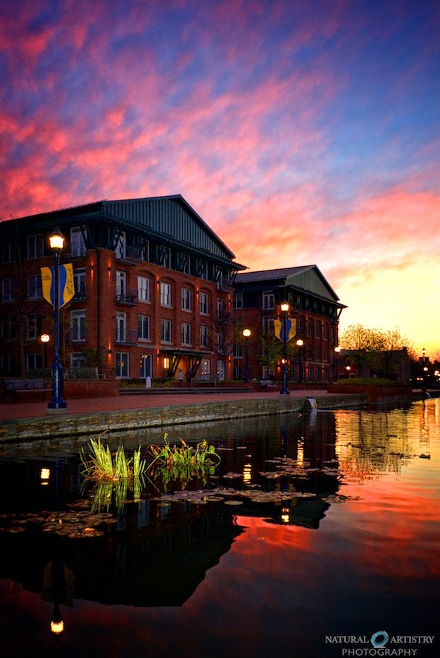 Maryland tweet media