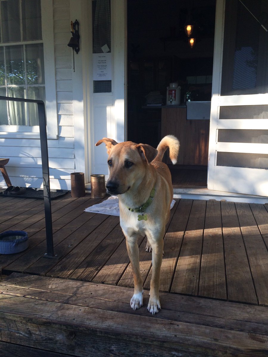 Finally! A sunny day at <a href="/BoggyCreekFarm/">Boggy Creek Farm</a>