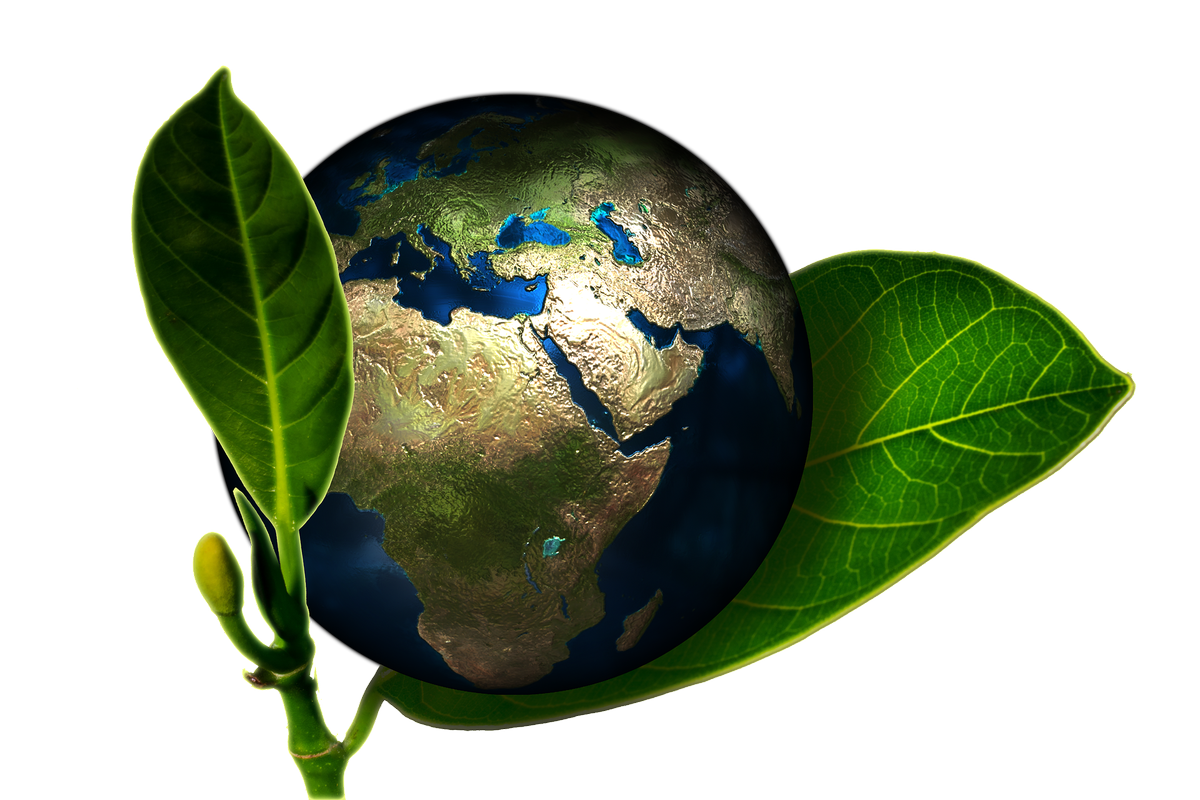 Chain_Logistics's tweet photo. We take pride in our eco-friendly business. Happy #EarthDay from the team at Chain Logistics Services #shipping https://t.co/3qsizj6QRh