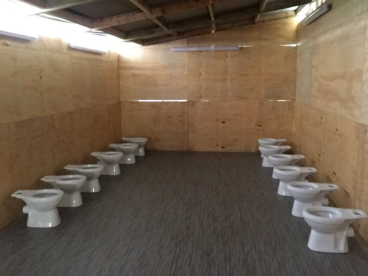 In-spiral carpets tweet media