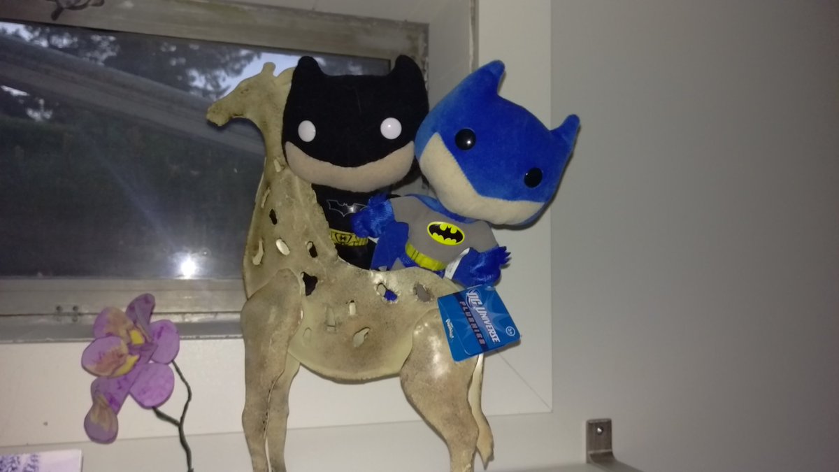 jchobbit's tweet photo. Yehaw! To #YYC for @Calgaryexpo 
#Batman #giraffe #lessthanaweek https://t.co/Y4cR4mXenc