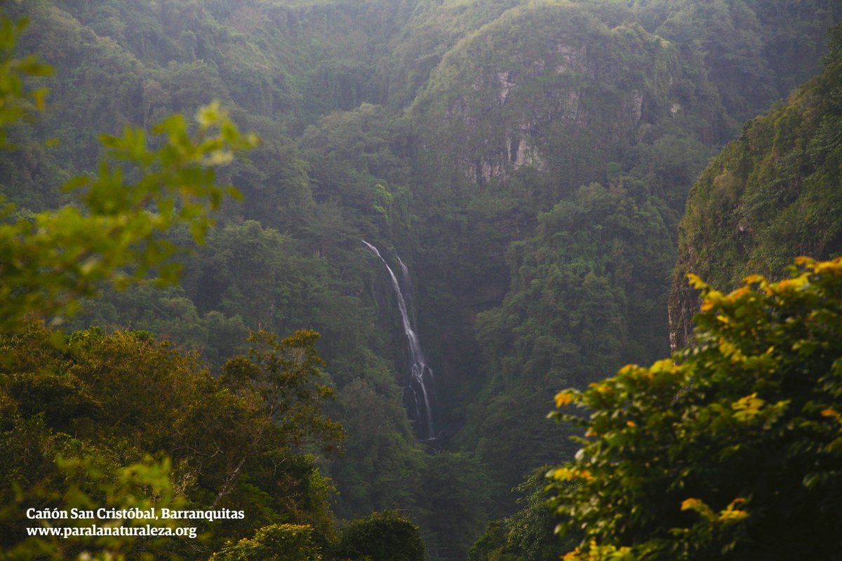 Puerto Rico protects 16% of its natural ecosystems. Lets make sure that 33% are protected by the year 2033 #EarthDay