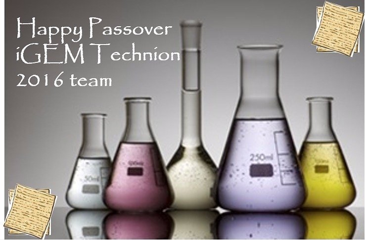 Happy #passover from <a href="/IgemTechnion/">iGEM Technion</a> 2016 team!! :)