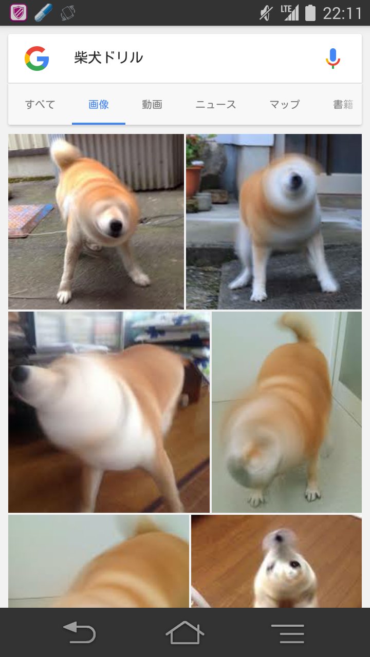 画像 柴犬ドリルで検索かけるの楽しすぎるだろまじでくっそじわるwwwwwwwwwwwwwてかこんなん笑う T Co Ul4td2wayb Matomehub まとめハブ 画像 柴犬ドリルで検索かけるの楽しすぎるだろまじでくっそじわるwwwwwwwwwwwwwてかこんなん笑う T Co Ul4td2wayb Matomehub まとめハブ