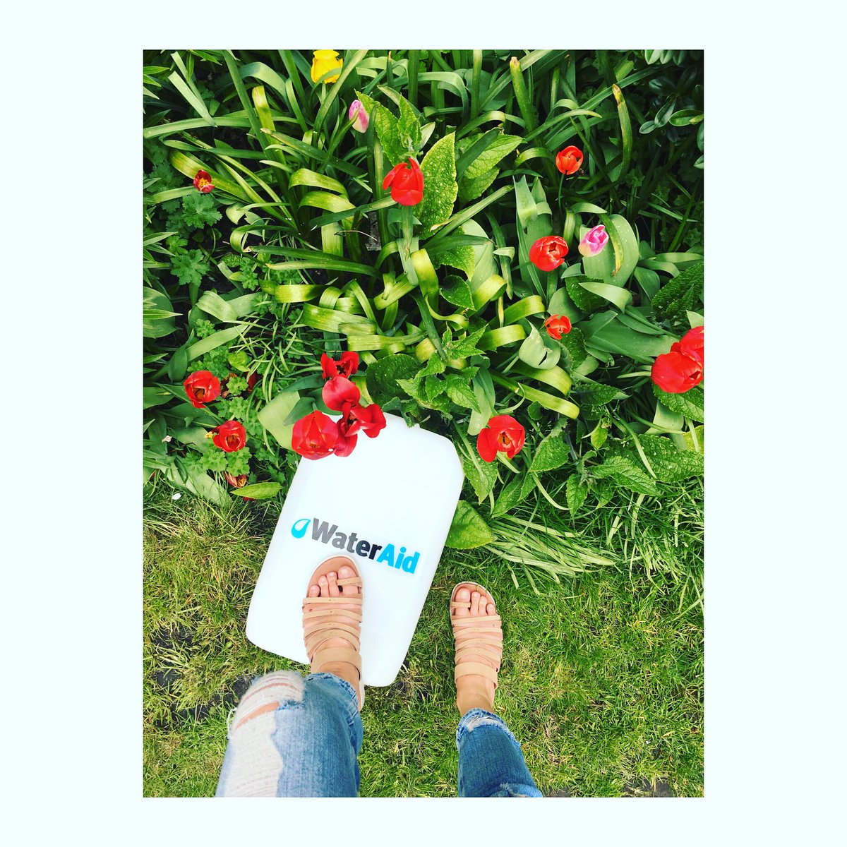 ashleighjohnson's tweet photo. Friday afternoon chills in the beautiful gardens of St Pauls, working with @WaterAidUK &amp; @EMUAustralia #EMUxWateraid https://t.co/g40M1hXHnz