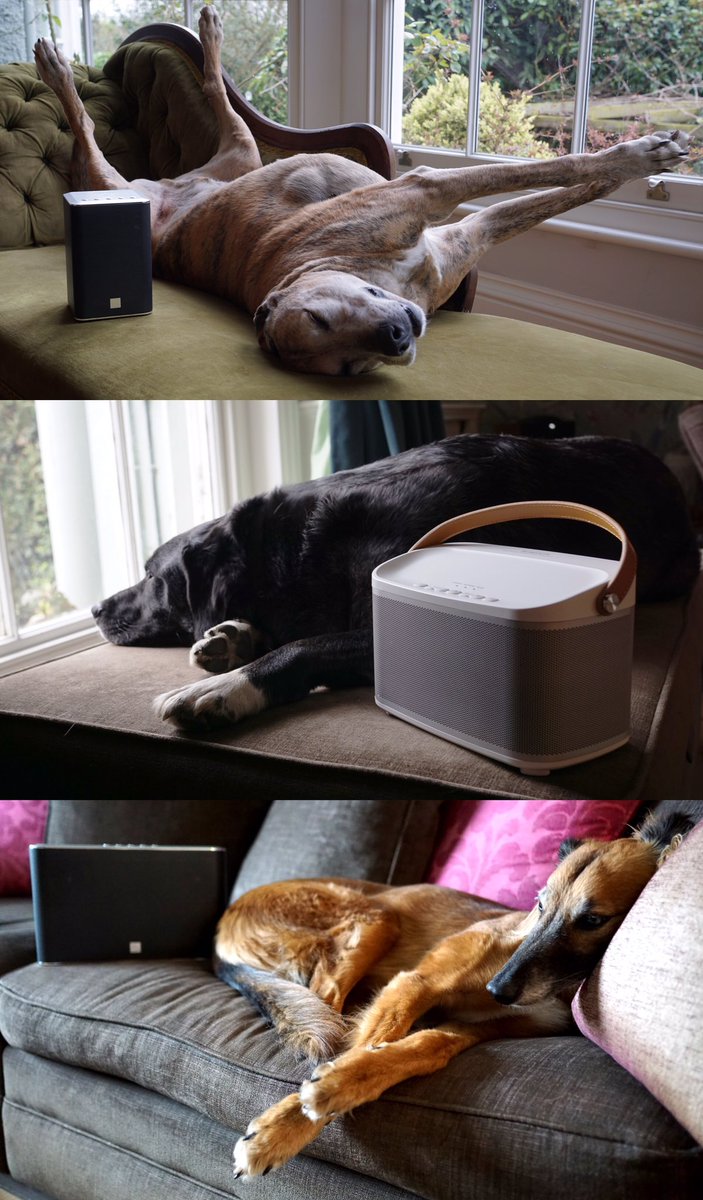 RobertsRadioUK's tweet photo. Because multi-room isn't just for humans... ;) https://t.co/BLEKBgn1Nz