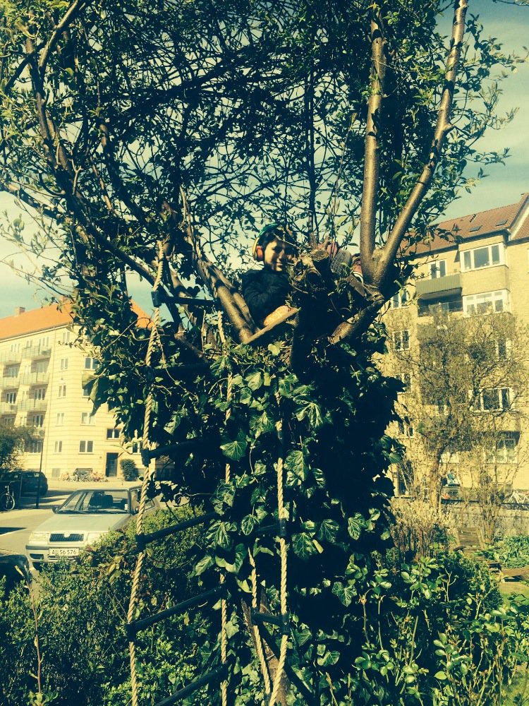 larsdennler's tweet photo. Finally some kind of spring in CPH https://t.co/khstE74EBB