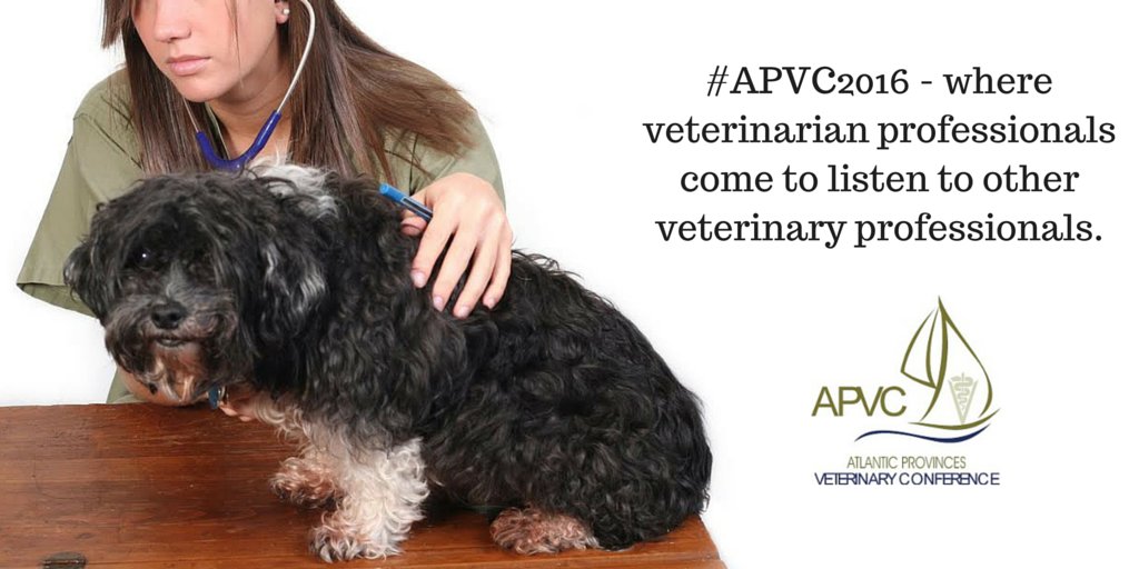 APVC26's tweet photo. Morning sessions are well underway at #APVC2016! https://t.co/BXVYRuk5hI