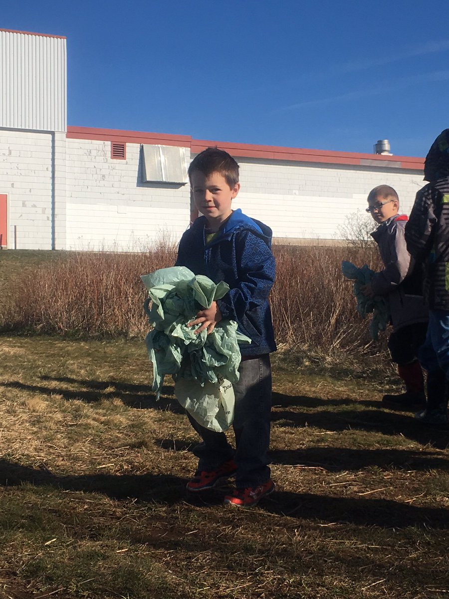 Islands Consolidated tweet media