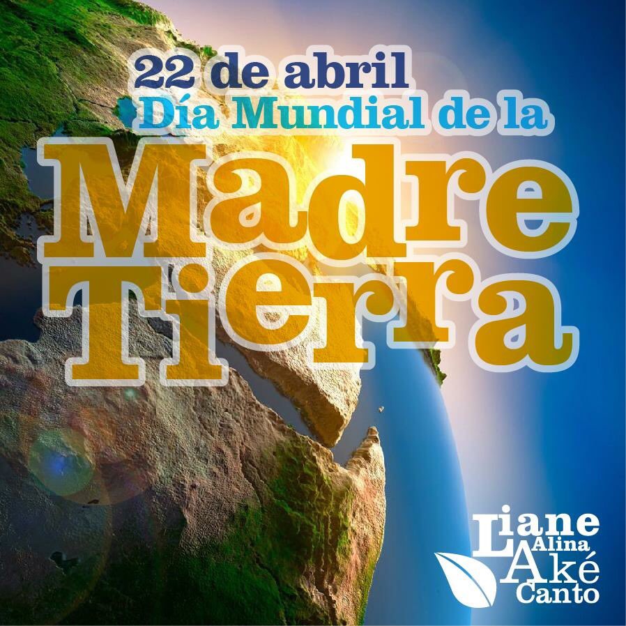 Liane Ake tweet media