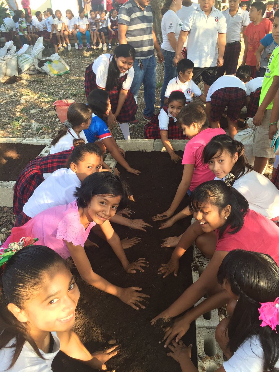 Liane Ake tweet media