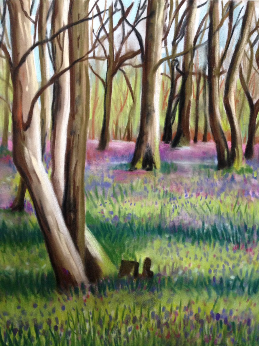 @InspirationsDrk @dorkingnews @Love_Dorking #surrey brings the best Bluebell displays. #pastel #Capel #art #bluebell