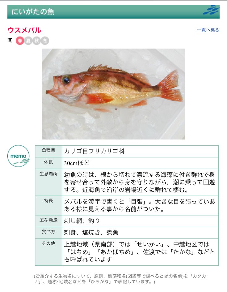 柩 こっち見てる なんてお魚さんなのかな にーやも分からないってさ T Co Tmi36mtihm Twitter