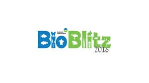 vanpattengolf's tweet photo. Come play a round a join us for BIO BLITZ 2016! More info in the pro shop! #BioBlitz #EarthDay2016 https://t.co/YnPPXN4eOV