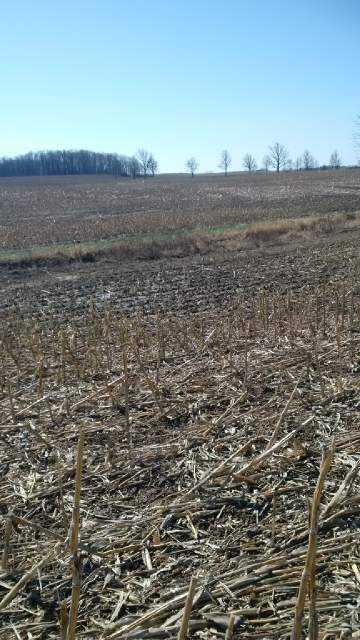 terratecenv's tweet photo. Happy #EarthDay 🌎. We are working to return nutrients to fields like this, for our collective future! https://t.co/OShZZKoOwY