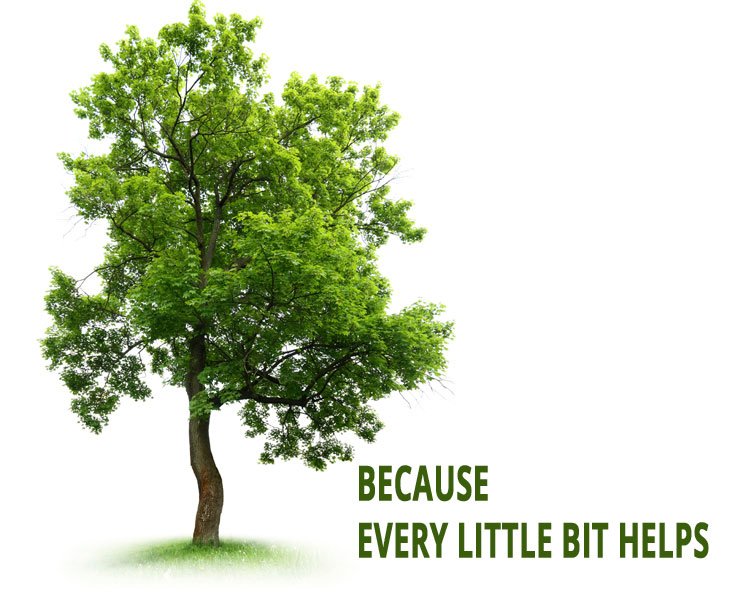 BECAUSE EVERY LITTLE BIT HELPS on this #earthday and all year long! Let's be #ECOfriendly owl.li/4mZ1XM