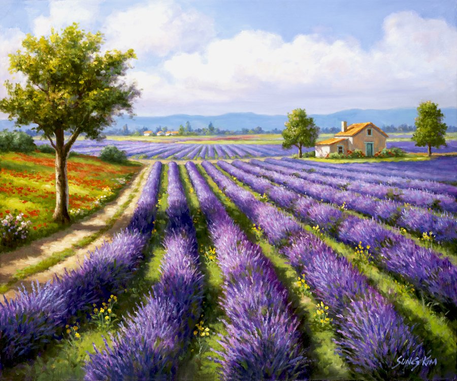 Sung Kim 'Rows of Lavender' #landscape #painting