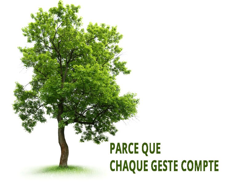 PARCE QUE CHAQUE GESTE COMPTE #JourdelaTerre et toute l'année. Soyons #ÉCOresponsables! owl.li/4mZ2bJ