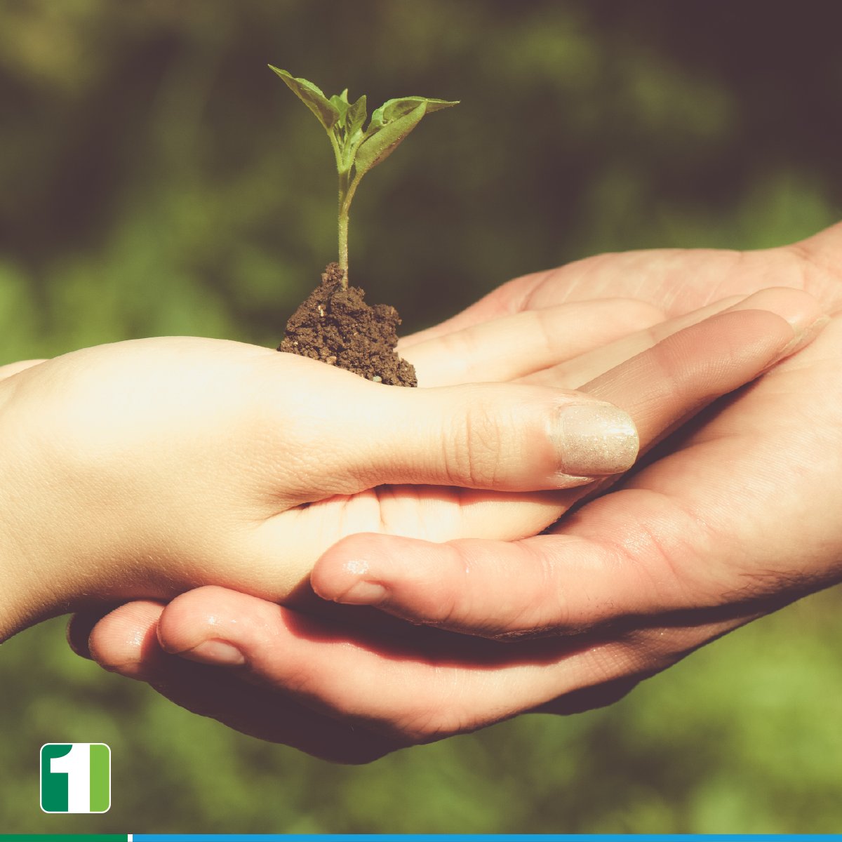 FirstBankpr's tweet photo. En el #DíaDelPlaneta sembramos de verde a #PR con nuestras comunidades. #voluntarios #huertosurbanos #CreceVerde https://t.co/q3idenFLGi