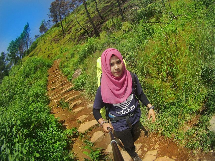 infopendaki tweet media