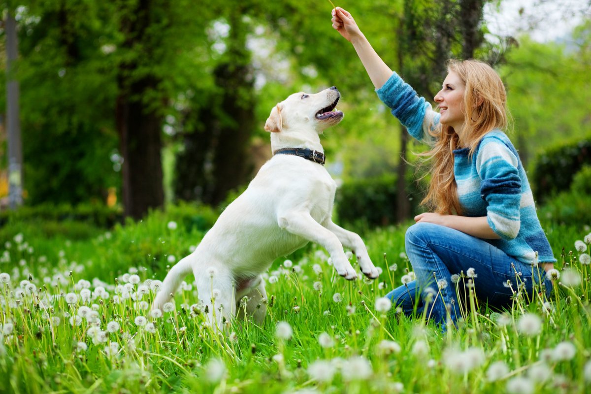 PetAgeMag's tweet photo. Happy #EarthDay! Here's why the #pet industry is going #green - and why you should, too: https://t.co/9XCcktgIwX https://t.co/6qjwK3f4k3
