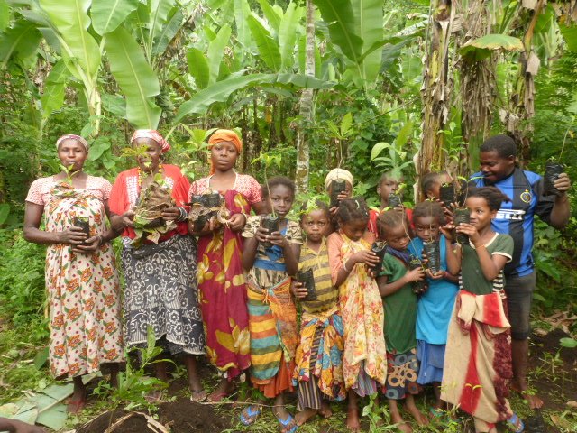 Dahari Comoros tweet media