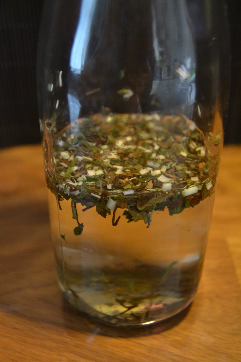 Cold Brew – White Lemon Tea teaxperienceblog.wordpress.com/2016/04/22/col…