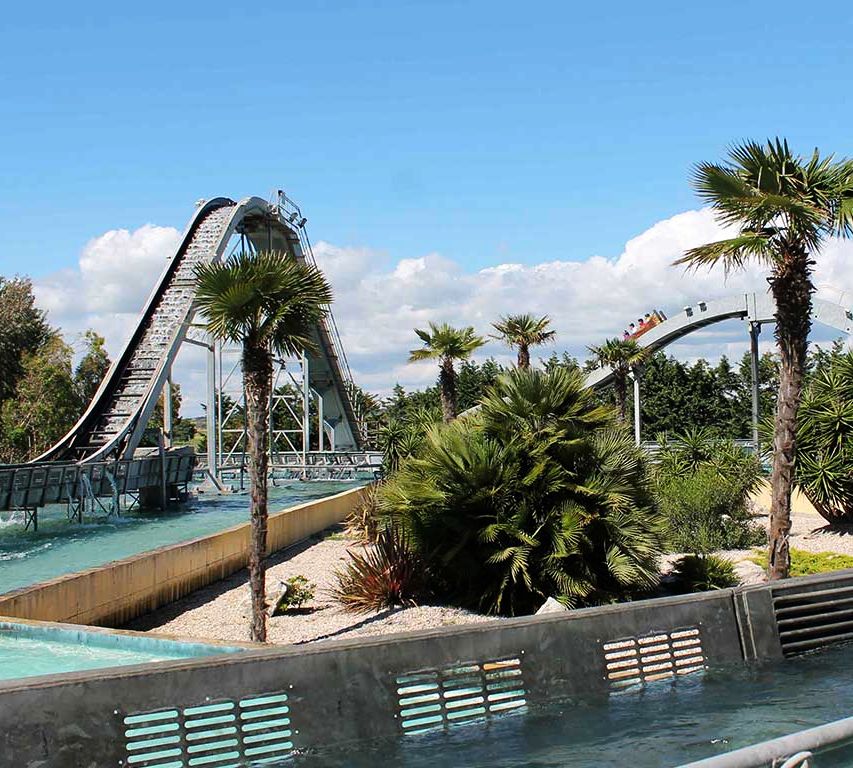 Qui trovi gli #sconti per l'ingresso al #Parco #Zoomarine: 
bit.ly/Zoomarine-SCON… 🐬 
#Roma #delfini #acquatico