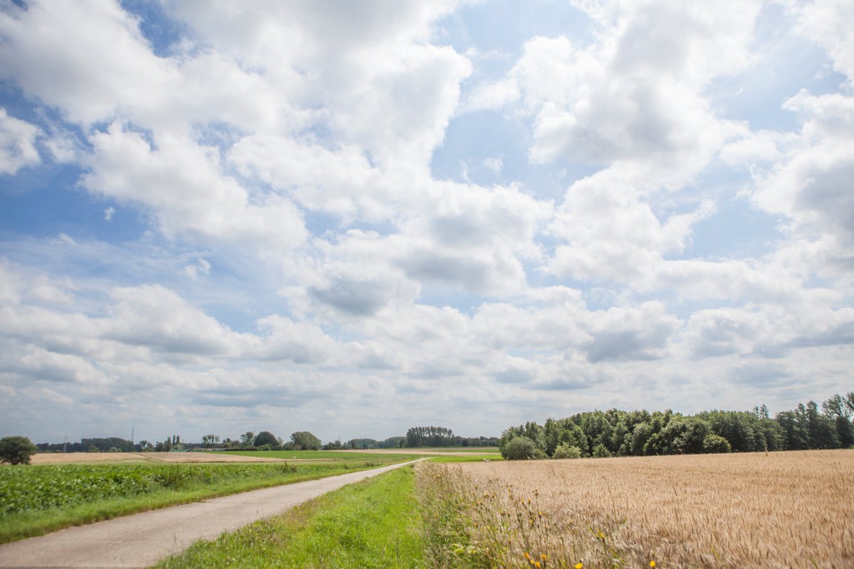 blondeel_k's tweet photo. 29/04 Lancering #fietsroute in #landschapspark #zuidrand DM=info #fiets #fietstocht  #kontich #edegem #aartselaar https://t.co/VxwdJqbDED