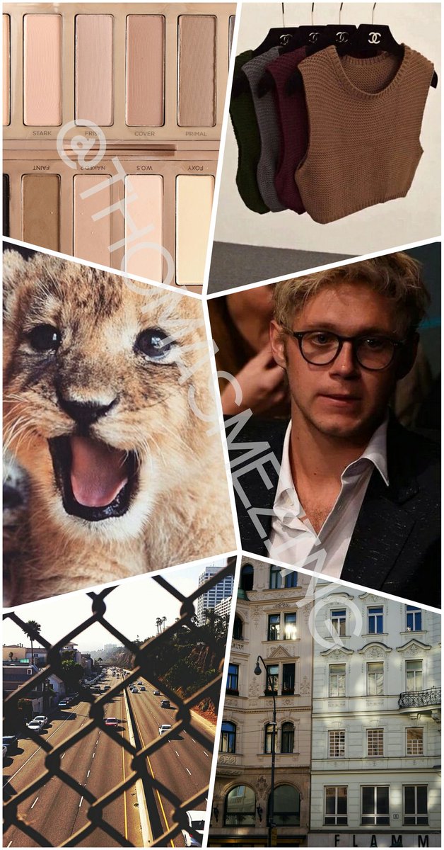 Thomasmezing tweet picture