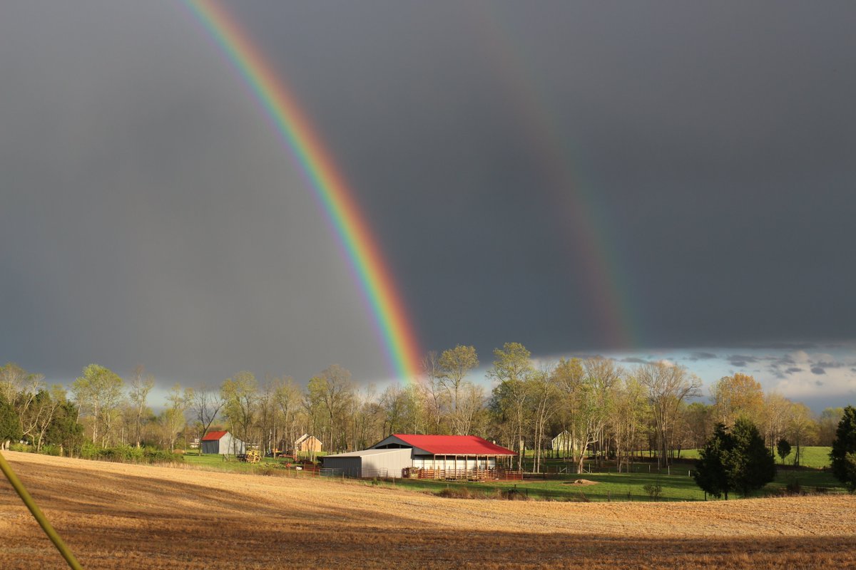 My back yard the other day...just beautiful.