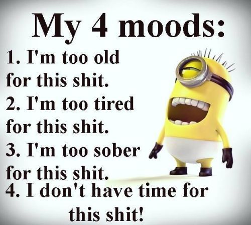 catdatank's tweet photo. pretty much.... https://t.co/Cztcs90MV9