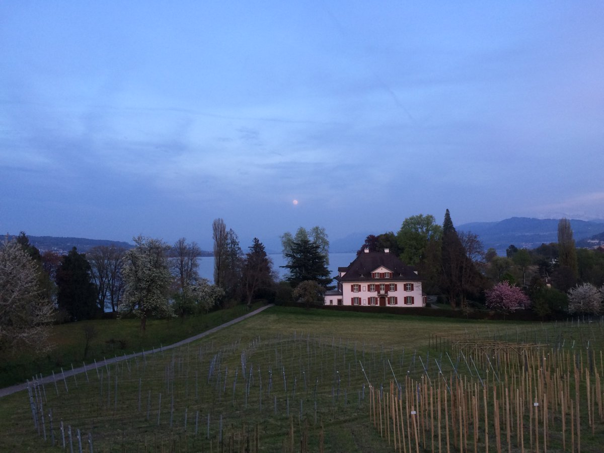 SocialfitCH's tweet photo. Es war ein toller Vollmondlauf an einem schönen Frühlingsabend. Alle Impressionen https://t.co/90qun0kaJv https://t.co/QTiBHGj0dP